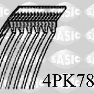 Must-Have Poly V-riem Sasic 4PK780