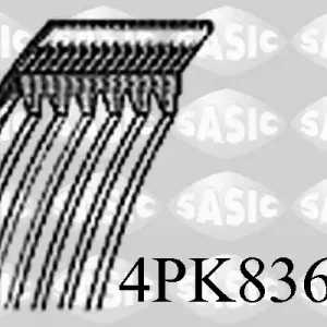 Modern Poly V-riem Sasic 4PK836E