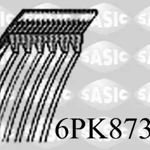 Poly V-riem Sasic 6PK873E Origineel