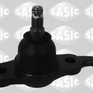 Alleen Vandaag Fuseekogel Sasic 7576045