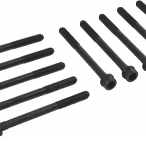 Ambachtelijk Cilinderkopboutenset Herth+Buss Jakoparts J1288011