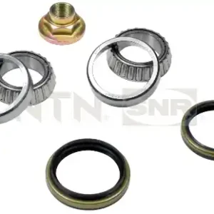 Professioneel Wiellagerset SNR R170.26