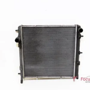 Radiateur PEUGEOT 207 (WA, WC) Authentiek