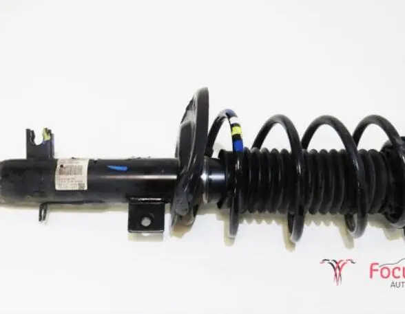 Veerpoot CITROËN C3 II (SC) Groothandel