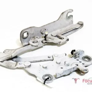 Betrouwbaar Motorkapscharnier BMW 1er (F20)