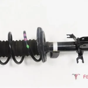 Veerpoot RENAULT Twingo III (BCM) Shop Nu