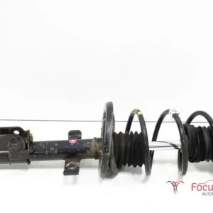 Professioneel Veerpoot RENAULT Clio IV (BH)