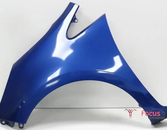 Spatbord KIA Rio III (UB) Must-Have