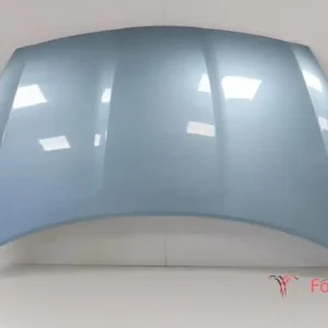 Motorkap HYUNDAI i20 (PB, PBT) Garantie Inbegrepen