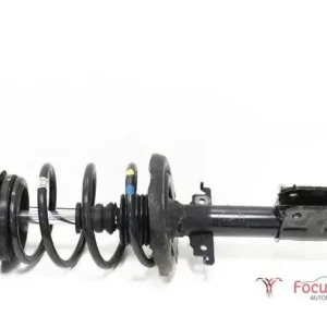 Veerpoot RENAULT Scénic III (JZ0/1), RENAULT Grand Scénic III (JZ0/1) Hoge Kwaliteit