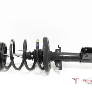 Gratis Verzending Veerpoot RENAULT Scénic III (JZ0/1), RENAULT Grand Scénic III (JZ0/1)