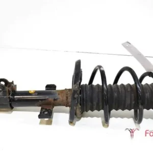 Veerpoot RENAULT Clio III (BR0/1, CR0/1), RENAULT Clio IV (BH) Lage Kosten