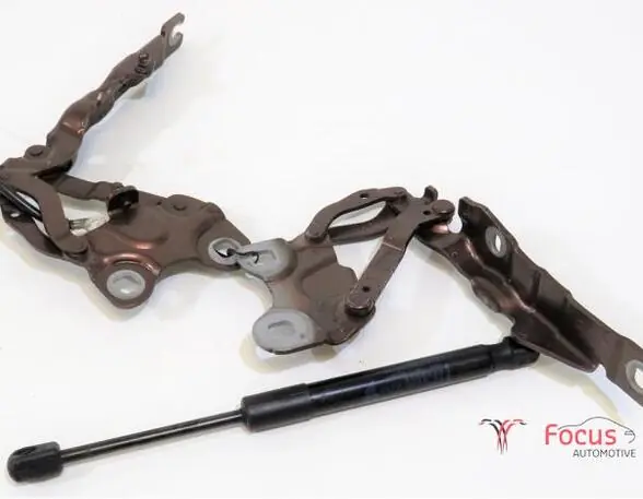 Motorkapscharnier MINI Mini Clubvan (R55), MINI Mini Countryman (R60) Koopje