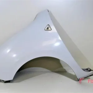 Spatbord RENAULT KANGOO Express (FW0/1_) Rechtstreeks Van De Fabrikant