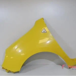 Spatbord RENAULT KANGOO Express (FW0/1_) Laatste Kans