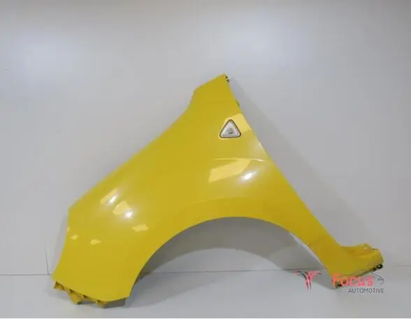 Spatbord RENAULT KANGOO Express (FW0/1_) Laatste Kans