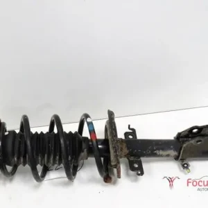 Veerpoot RENAULT KANGOO Express (FW0/1_) Premium