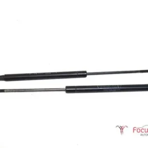 Gasveer kofferruimte FIAT Grande Punto (199), FIAT Punto Evo (199) Gereduceerde Prijs