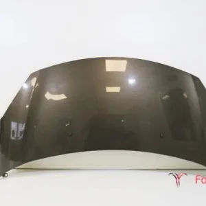 Motorkap CITROËN C3 II (SC), CITROËN C3 III (SX) Direct Verzonden