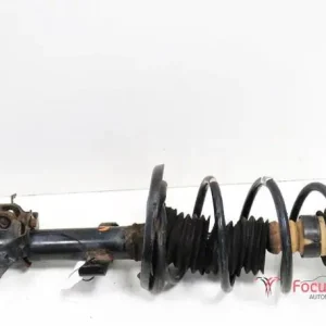 Veerpoot RENAULT Clio III (BR0/1, CR0/1), RENAULT Clio IV (BH) Exclusief