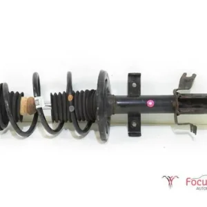 Veerpoot RENAULT Captur I (H5, J5), RENAULT Clio IV (BH) Uitverkoop