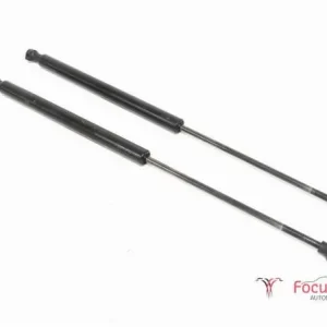 Lage Kosten Gasveer kofferruimte RENAULT Twingo III (BCM)