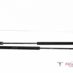 Nieuw Gasveer kofferruimte FIAT Bravo II (198)