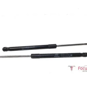 Favoriet Gasveer kofferruimte HYUNDAI i20 (PB, PBT)