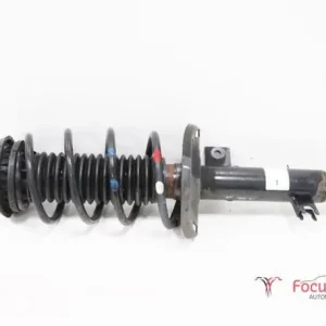 Veerpoot CITROËN C3 II (SC), CITROËN DS3 (--) Direct Verzonden