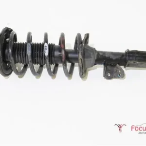 Must-Have Veerpoot HYUNDAI i10 (PA)