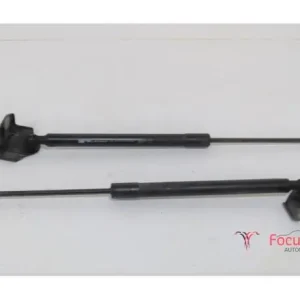 Trendy Gasveer kofferruimte RENAULT Clio III (BR0/1, CR0/1), RENAULT Clio IV (BH)