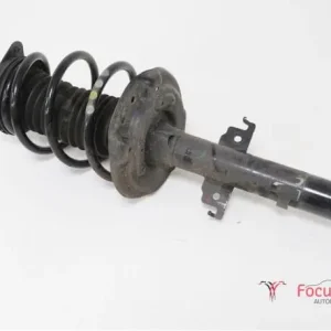 Veerpoot RENAULT Grand Scénic IV (R9), RENAULT Scénic IV (J9) Express Levering