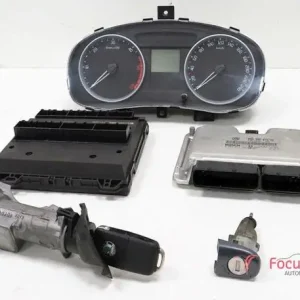 Tijdelijk Beschikbaar Regeleenheid SKODA FABIA II Combi (545)