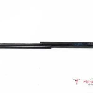 Gratis Verzending Gasveer kofferruimte FIAT Panda (169)