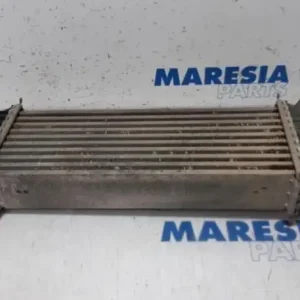 Interkoeler tussenkoeler RENAULT KANGOO Express (FW0/1_) Beperkte Voorraad