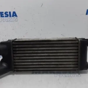 Interkoeler tussenkoeler PEUGEOT PARTNER Box Body/MPV Hoge Kwaliteit