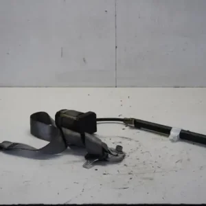 Laatste Versie Veiligheidsgordel FORD GALAXY (WGR)