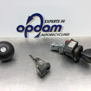 Wereldwijde Verzending Slotcilinderset RENAULT CLIO III (BR0/1, CR0/1)