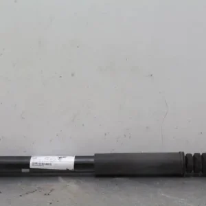 Professioneel Schokdemper RENAULT TWINGO II (CN0_)