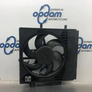 Elektrische motor radiateurventilator PEUGEOT 207 (WA_, WC_) Direct Beschikbaar