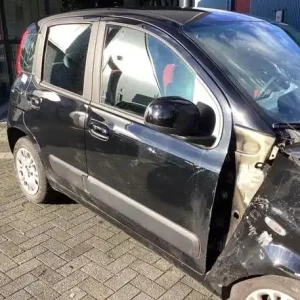 Deur FIAT PANDA (312_, 319_), FIAT PANDA VAN (312_, 519_), LANCIA YPSILON (312_) Gratis Verzending