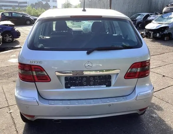 Bulkbestelling Achterlicht MERCEDES-BENZ B-CLASS (W245)