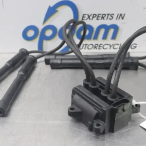 Finale Uitverkoop Bobine RENAULT MODUS / GRAND MODUS (F/JP0_)