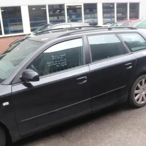 Tijdelijk Beschikbaar Deur AUDI A4 Avant (8ED, B7), AUDI A4 Avant (8E5, B6)