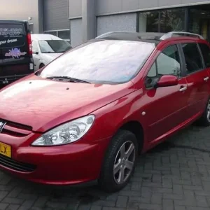 Deur PEUGEOT 307 Break (3E), PEUGEOT 307 SW (3H) Merkproduct