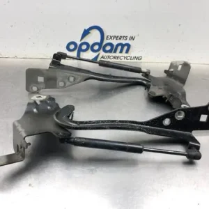 Motorkapscharnier RENAULT GRAND SCÉNIC III (JZ0/1_), RENAULT SCÉNIC III (JZ0/1_) Hoge Kwaliteit