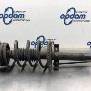 Op = Op Veerpoot RENAULT MEGANE II (BM0/1_, CM0/1_)