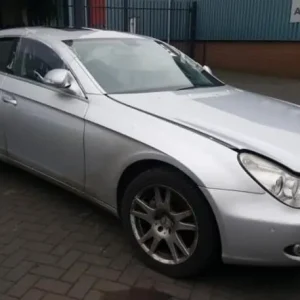 Snelle Levering Deur MERCEDES-BENZ CLS (C219)