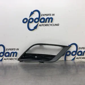 Ventilatiegrille bumper SEAT IBIZA IV ST (6J8, 6P8) Hoge Kwaliteit