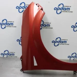 Bulkbestelling Spatbord RENAULT SCÉNIC II (JM0/1_), RENAULT GRAND SCÉNIC II (JM0/1_)